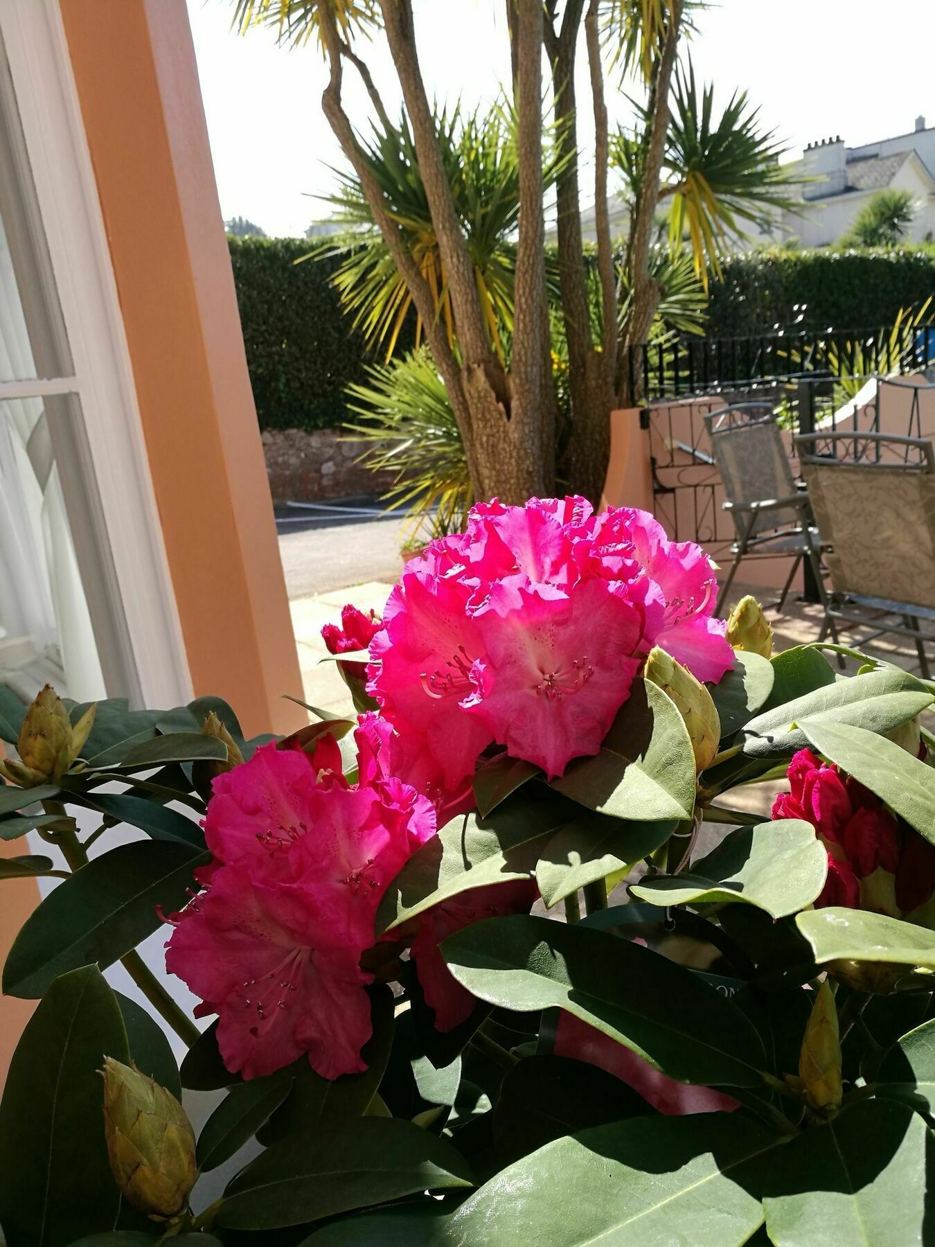 The Devon Court Hotel Torquay Exterior photo